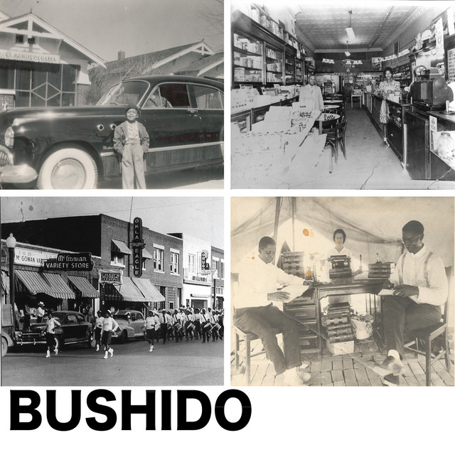 Bushido cover