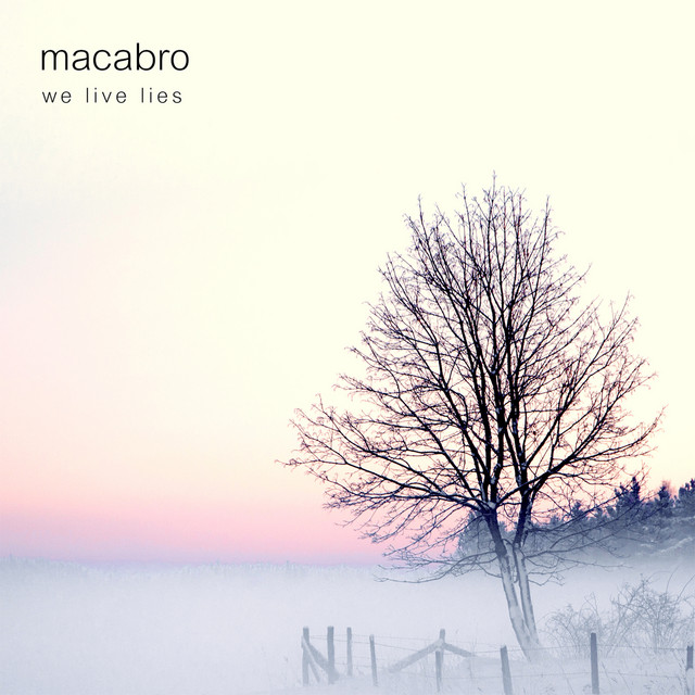 We Live Lies cover