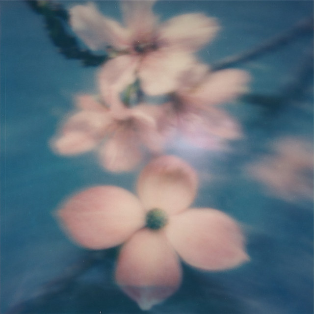 Make U Mine album image