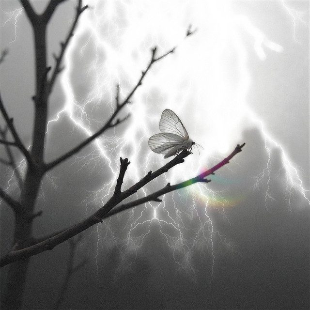 ༺sorry༻ cover art