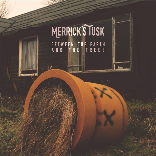 Between the Earth and the Trees cover art