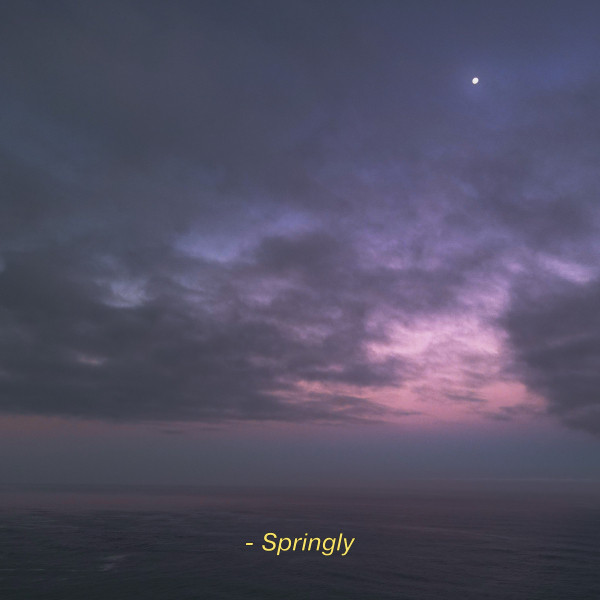 Springly cover art