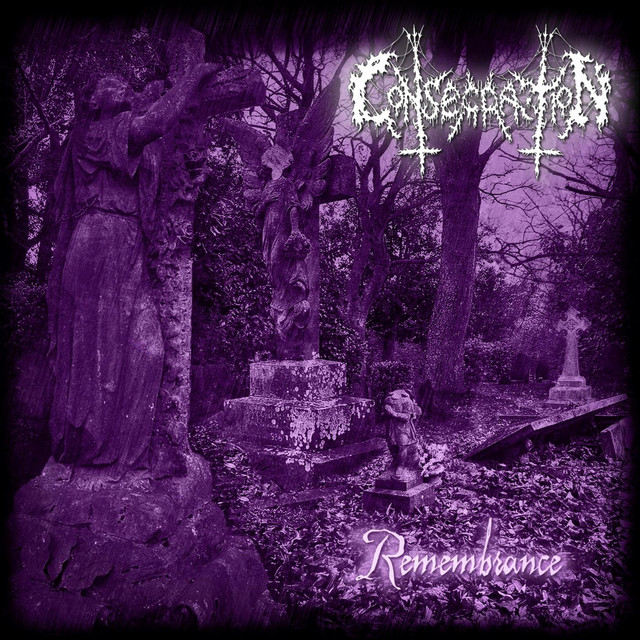 Remembrance cover art