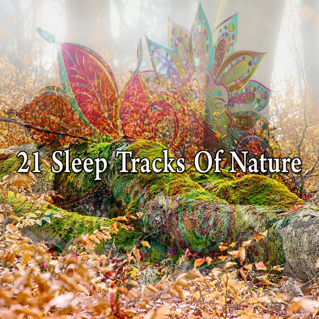 21 Sleep Tracks Of Nature - Album by Sleep Sounds of Nature | Spotify