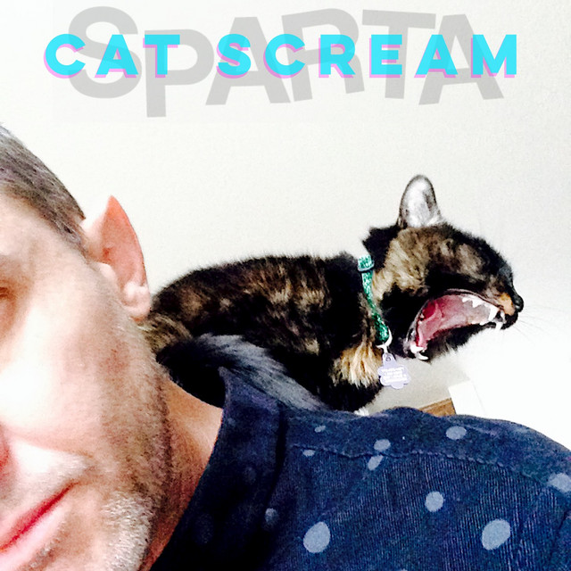 Cat Scream cover art