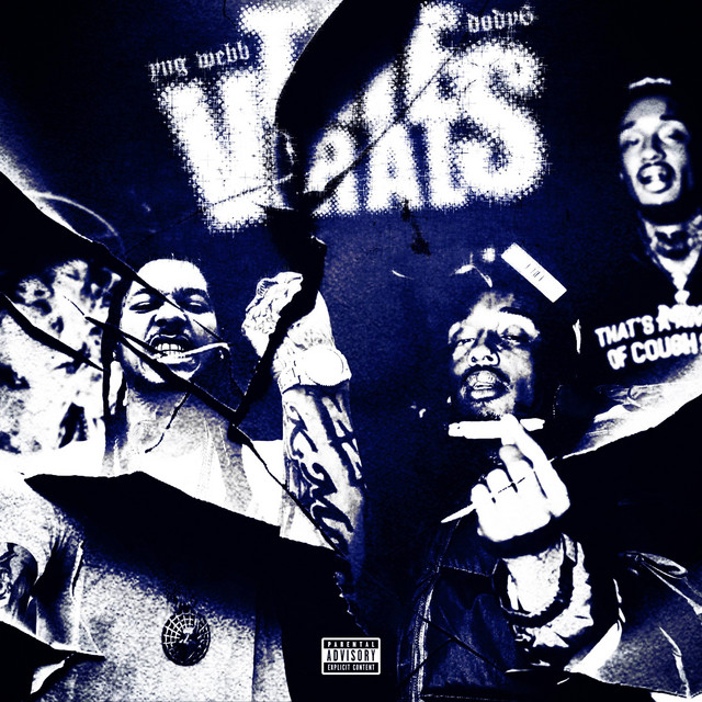 THE VIRALs cover art