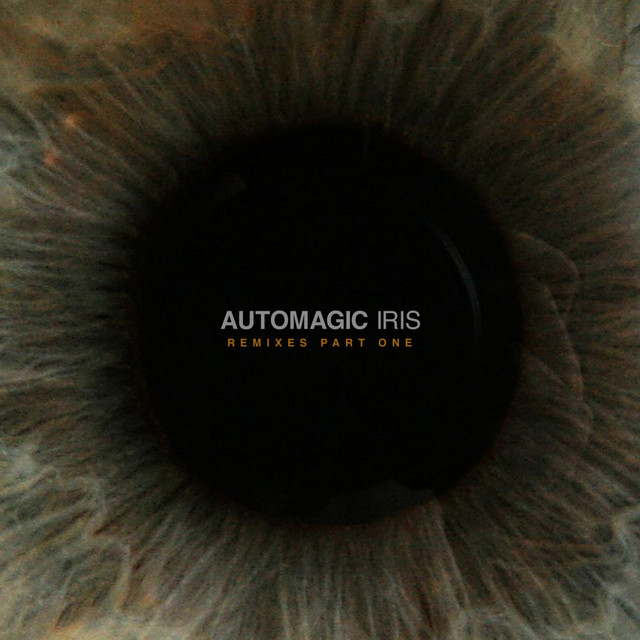Iris - Original Mix cover art