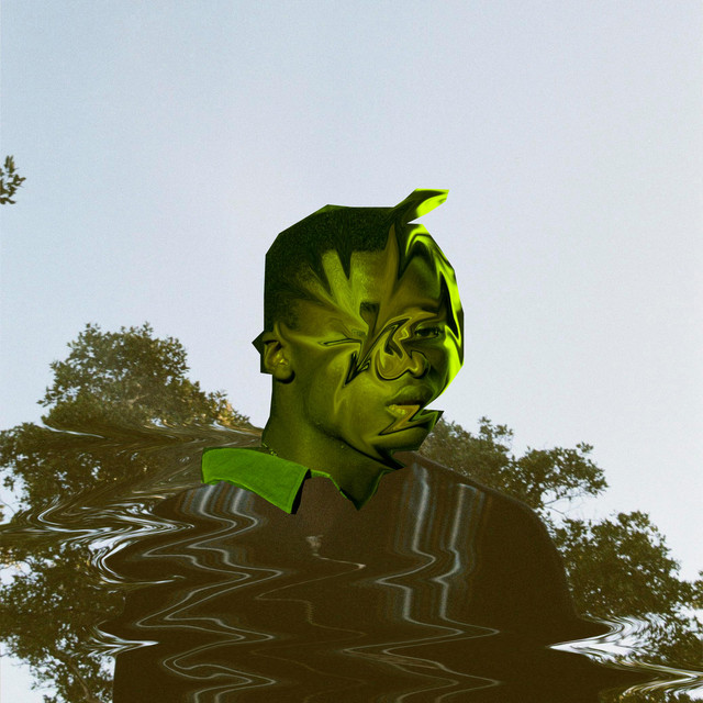 Indecisive cover art