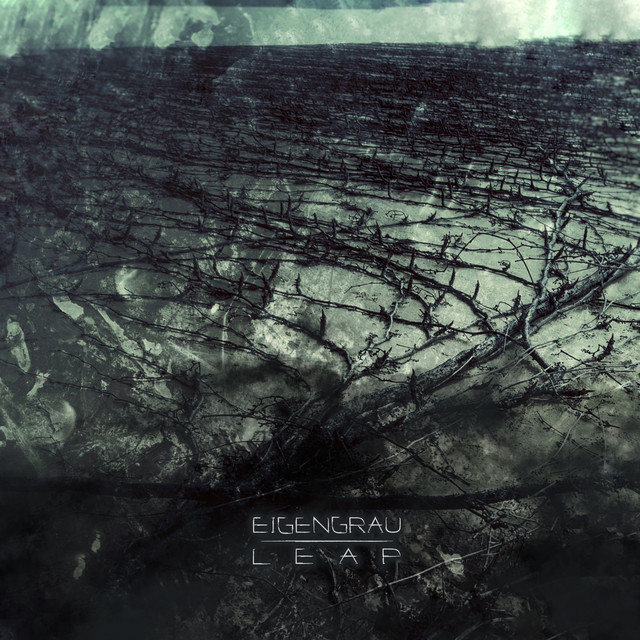 Leap (single)