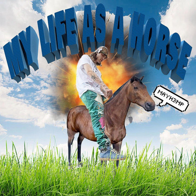mylifeasahorse cover art