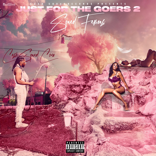 Just For The Goers 2 cover art