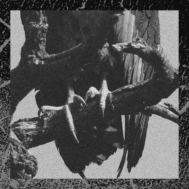 Counterfeit cover art