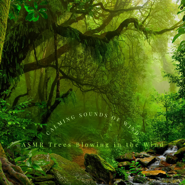 Calming Sounds of Wind - Album by ASMR Trees Blowing in the Wind | Spotify