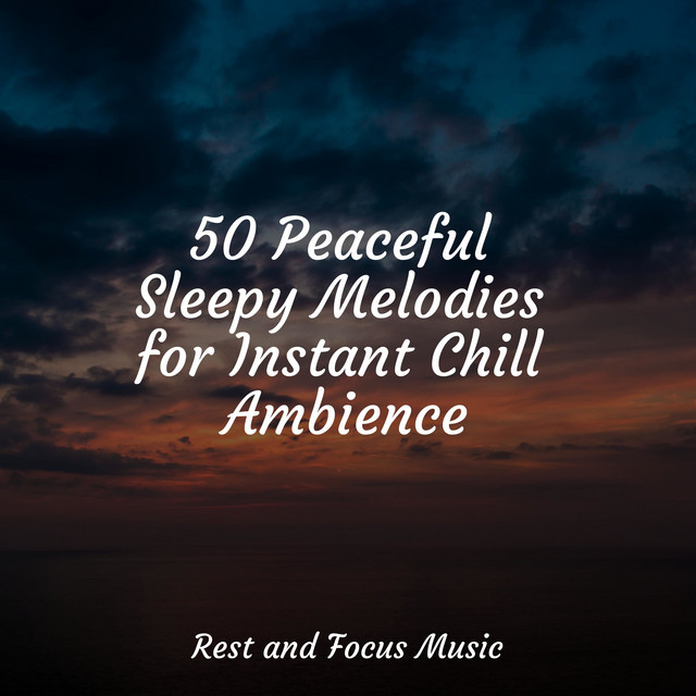 50 Peaceful Sleepy Melodies for Instant Chill Ambience - Album by ...