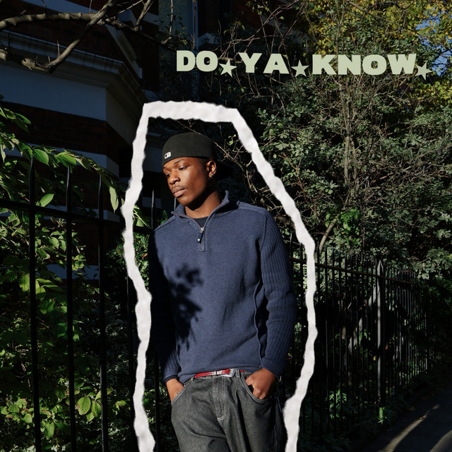 DO YA KNOW album image