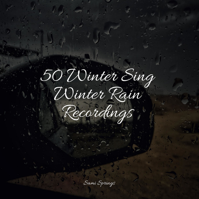 50 Winter Sing Winter Rain Recordings - Album by Rain Hard | Spotify