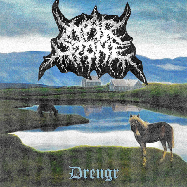 Drengr cover art