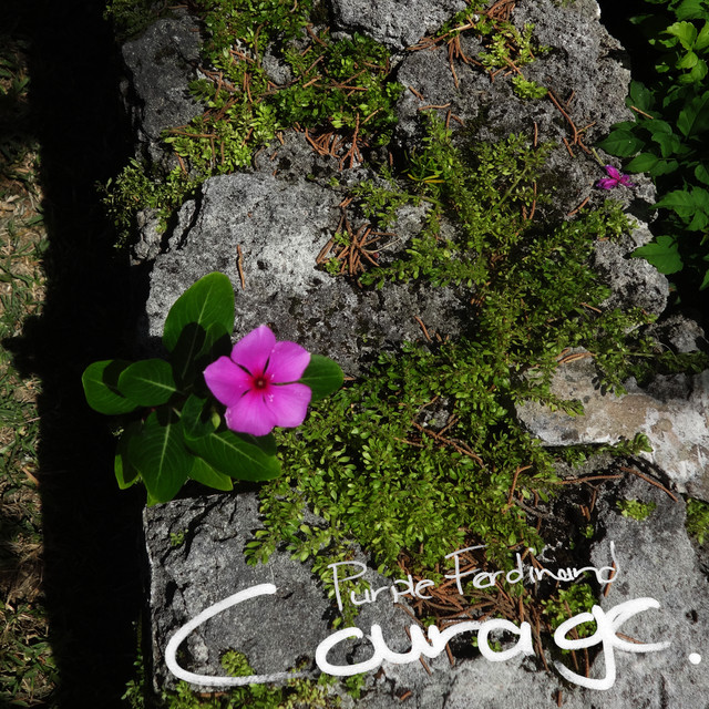 Courage cover