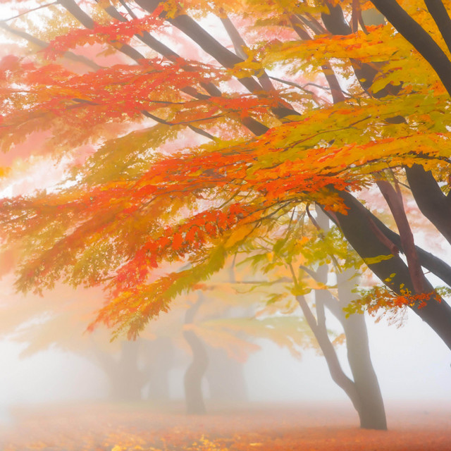 Late September, far