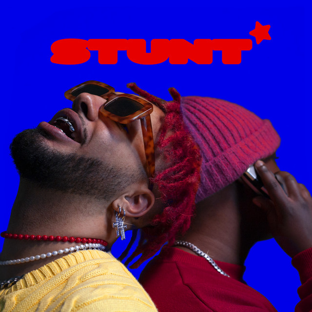 Stunt cover art