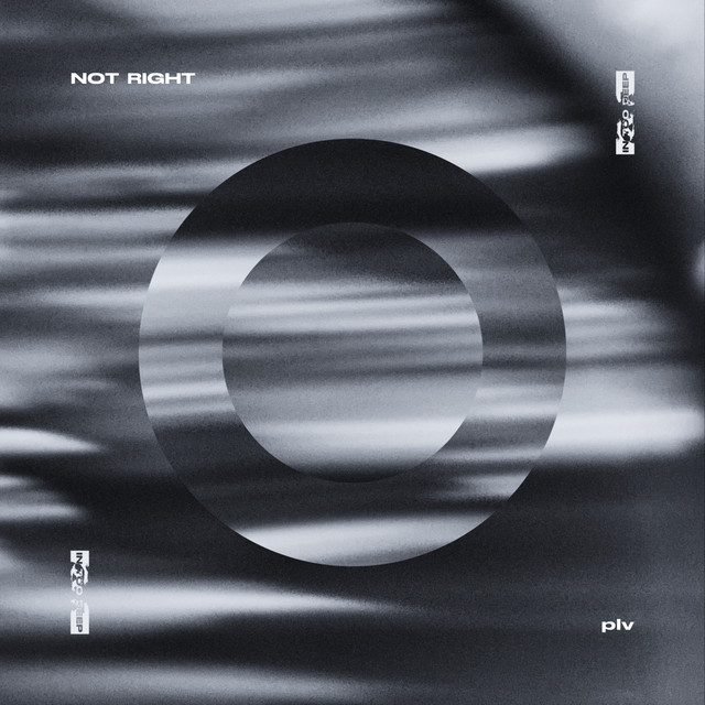 Not Right - Manu (CA) Remix album art