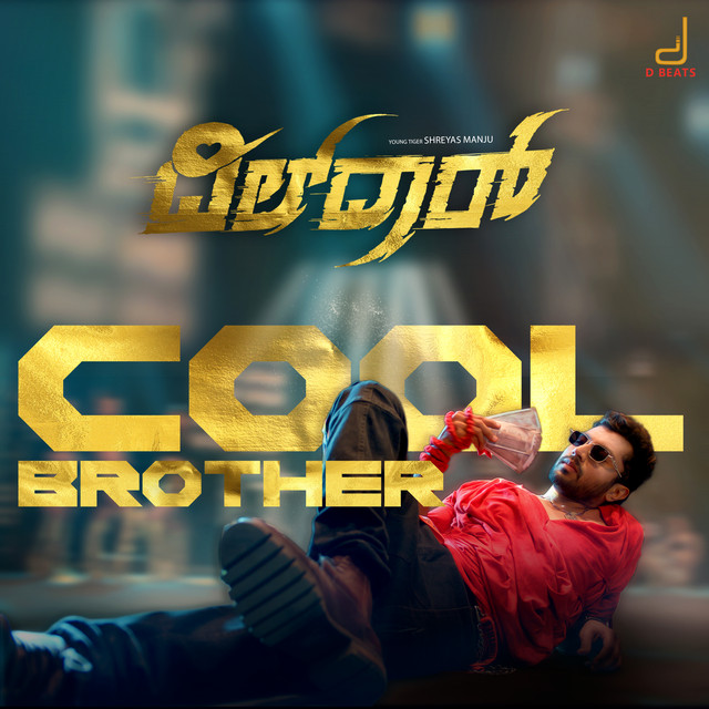 Cool Brother (From "Dildar'') album image