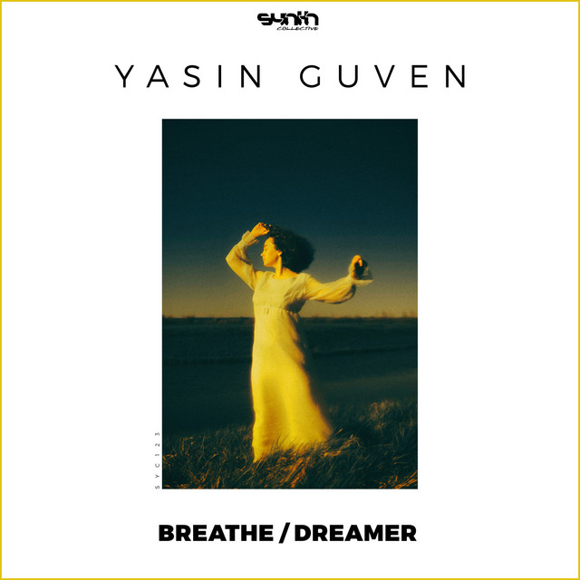 Breathe / Dreamer cover