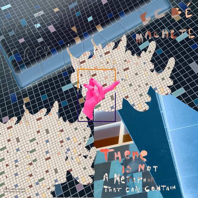 There Is Not a Metaphor That Can Contain cover art