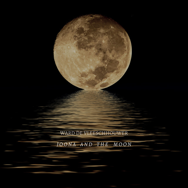Joona and the Moon cover