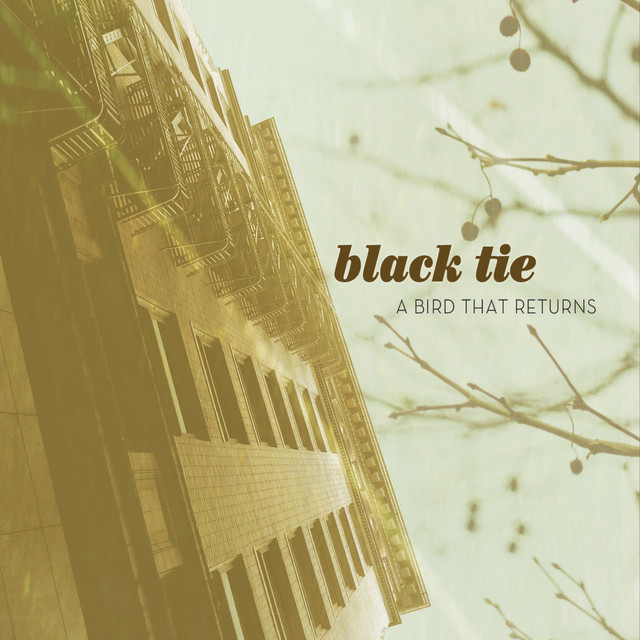 A Bird That Returns cover art