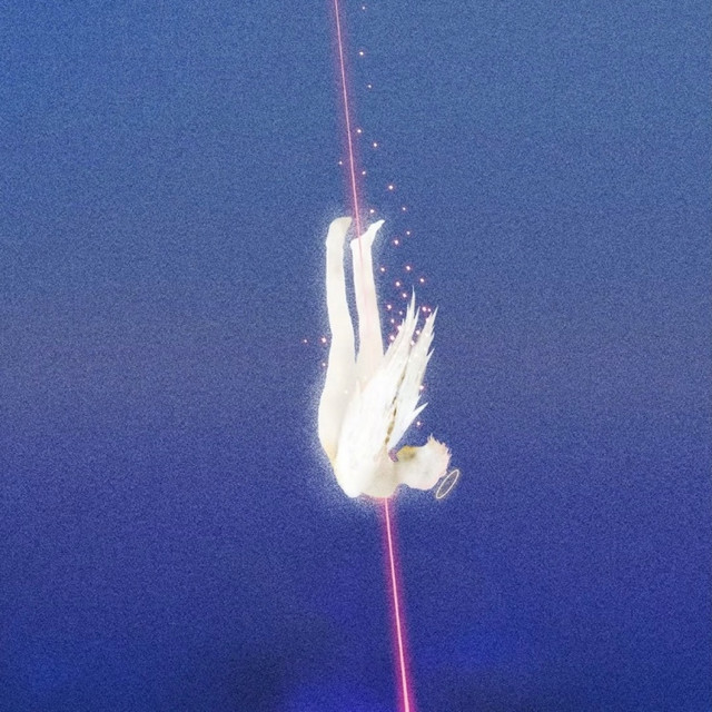 PPR