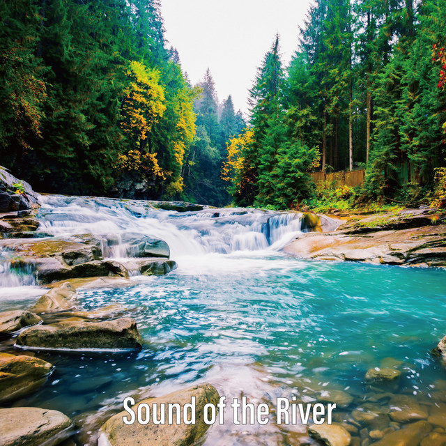 Sound of the River cover art