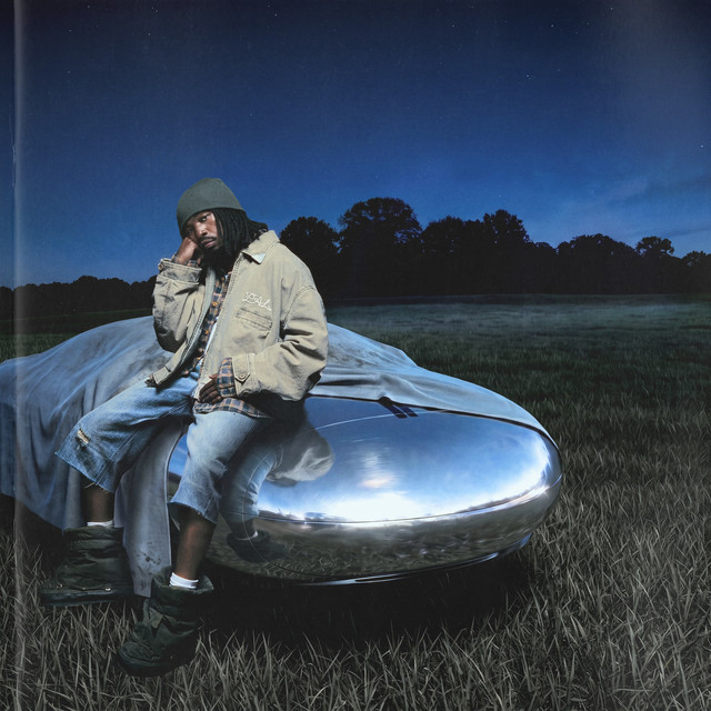 Platinum Fubu cover