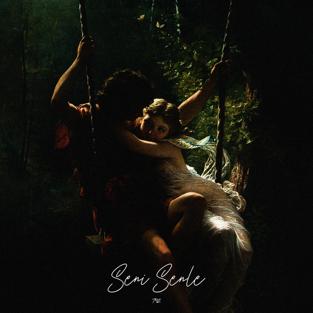 Seni Senle cover art