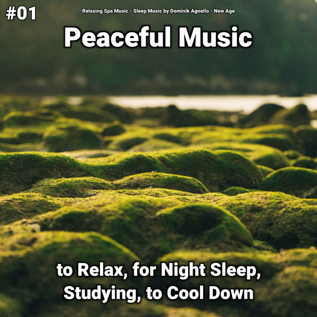 #01 Peaceful Music to Relax, for Night Sleep, Studying, to Cool Down cover art