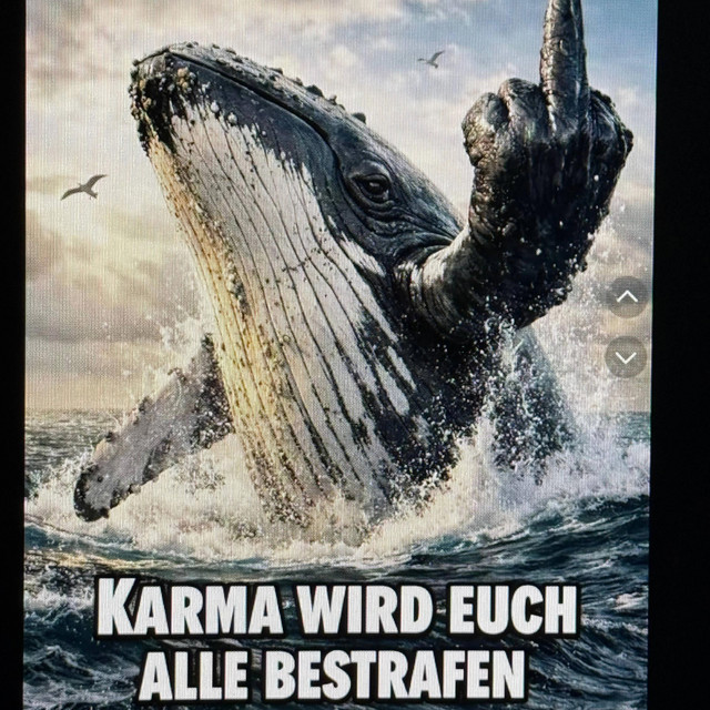 Walschatten cover