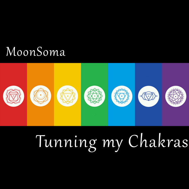 Tunning My Chakras cover art