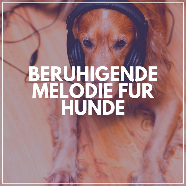 Beruhigende Melodie Für Hunde cover art