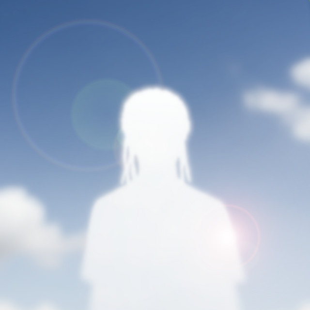 Shadow cover art