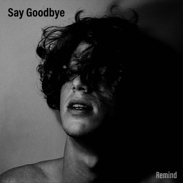 Say Goodbye cover art
