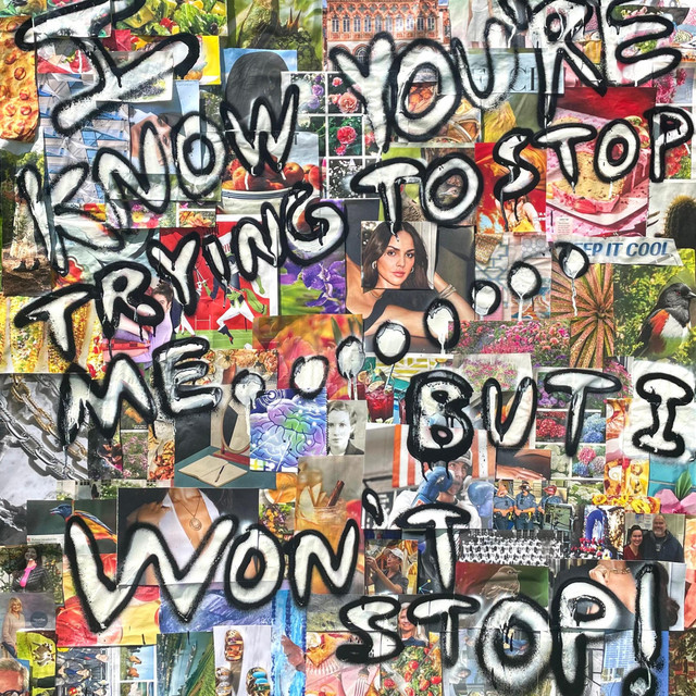 I KNOW YOU'RE TRYING TO STOP ME...BUT I WON'T STOP! cover art