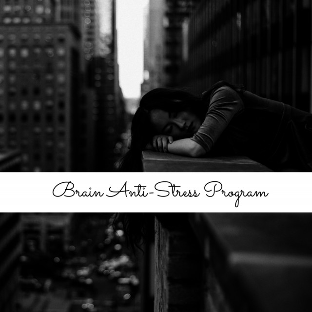 Brain Anti-Stress Program cover art