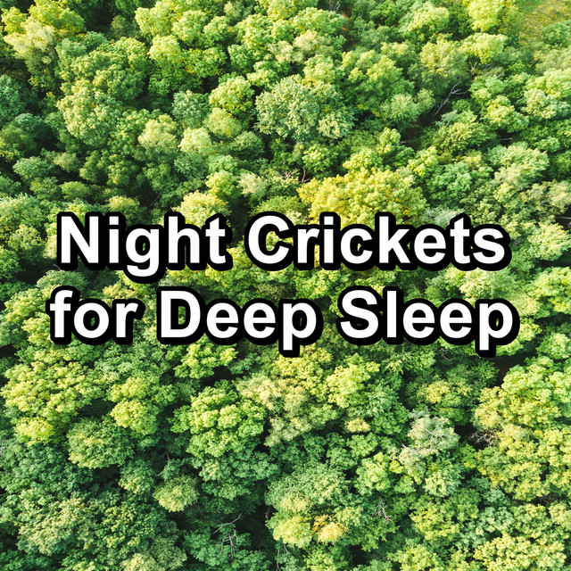 Night Crickets for Deep Sleep cover art
