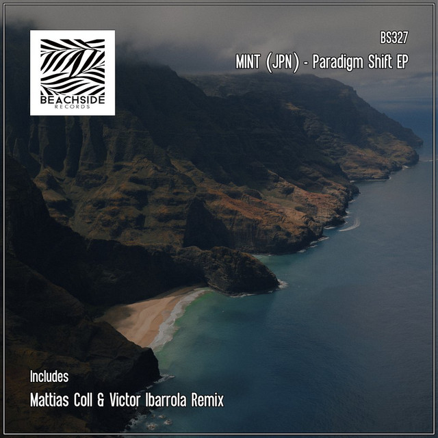 Paradigm Shift - Mattias Coll Remix cover art