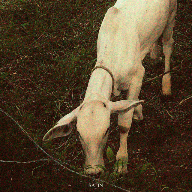 SATIN cover art