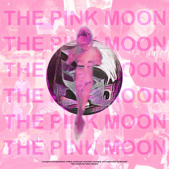INDIGO CHILD II. the pink moon. cover art