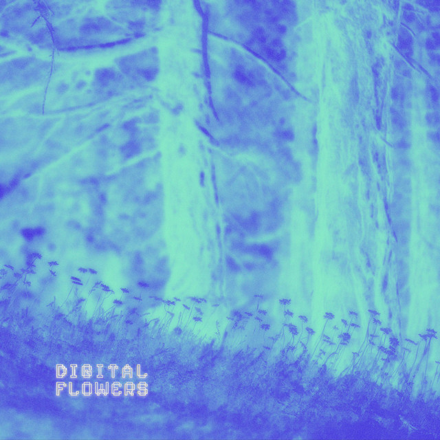 Digital Flowers