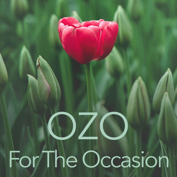 For The Occasion cover art