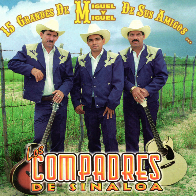 15 Grandes de Miguel y Miguel de Sus Amigos... cover art