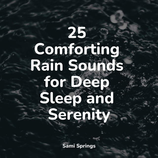 25 Comforting Rain Sounds for Deep Sleep and Serenity - Album by Rain ...
